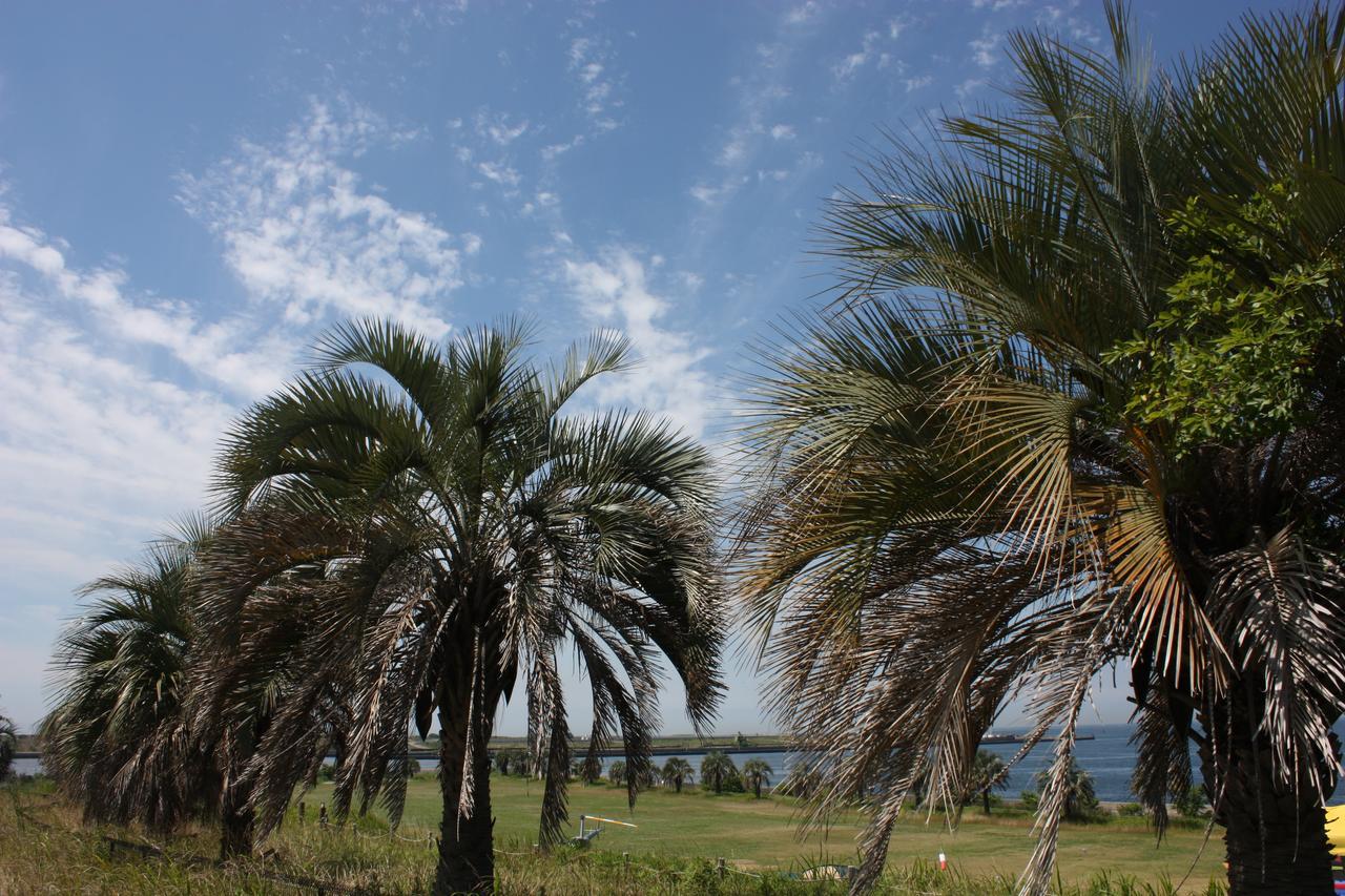 Palm Garden Maishima By Wbf Ōsaka Exterior foto